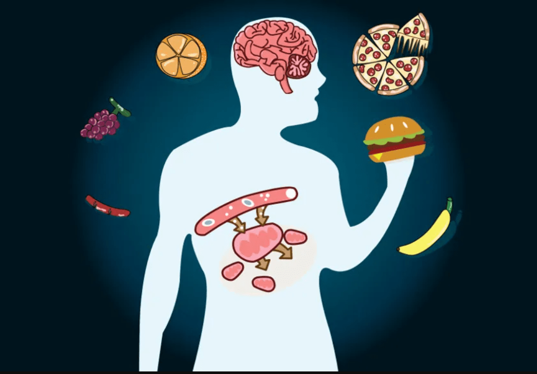 Qué es el metabolismo basal?